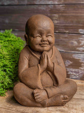 Campania Young Novice